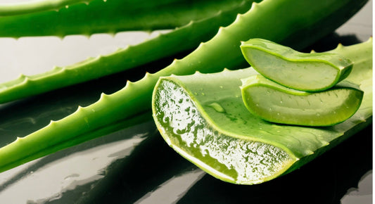 Aloe Vera: Nature’s Skincare Superstar